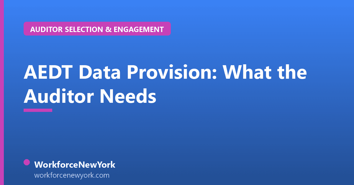 AEDT Data Provision: What the Auditor Needs